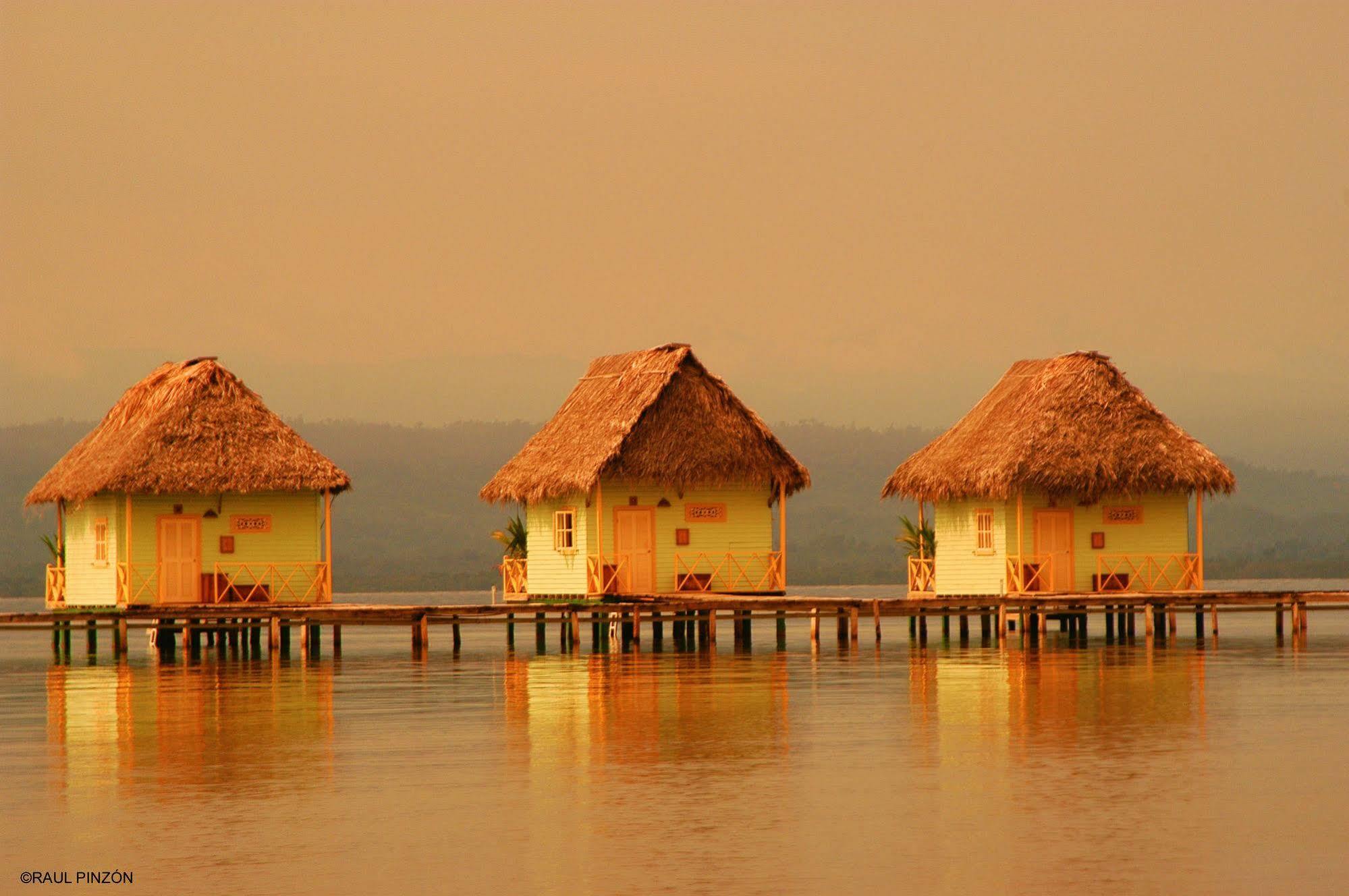 Punta Caracol Acqua Lodge Bocas Town Exterior photo