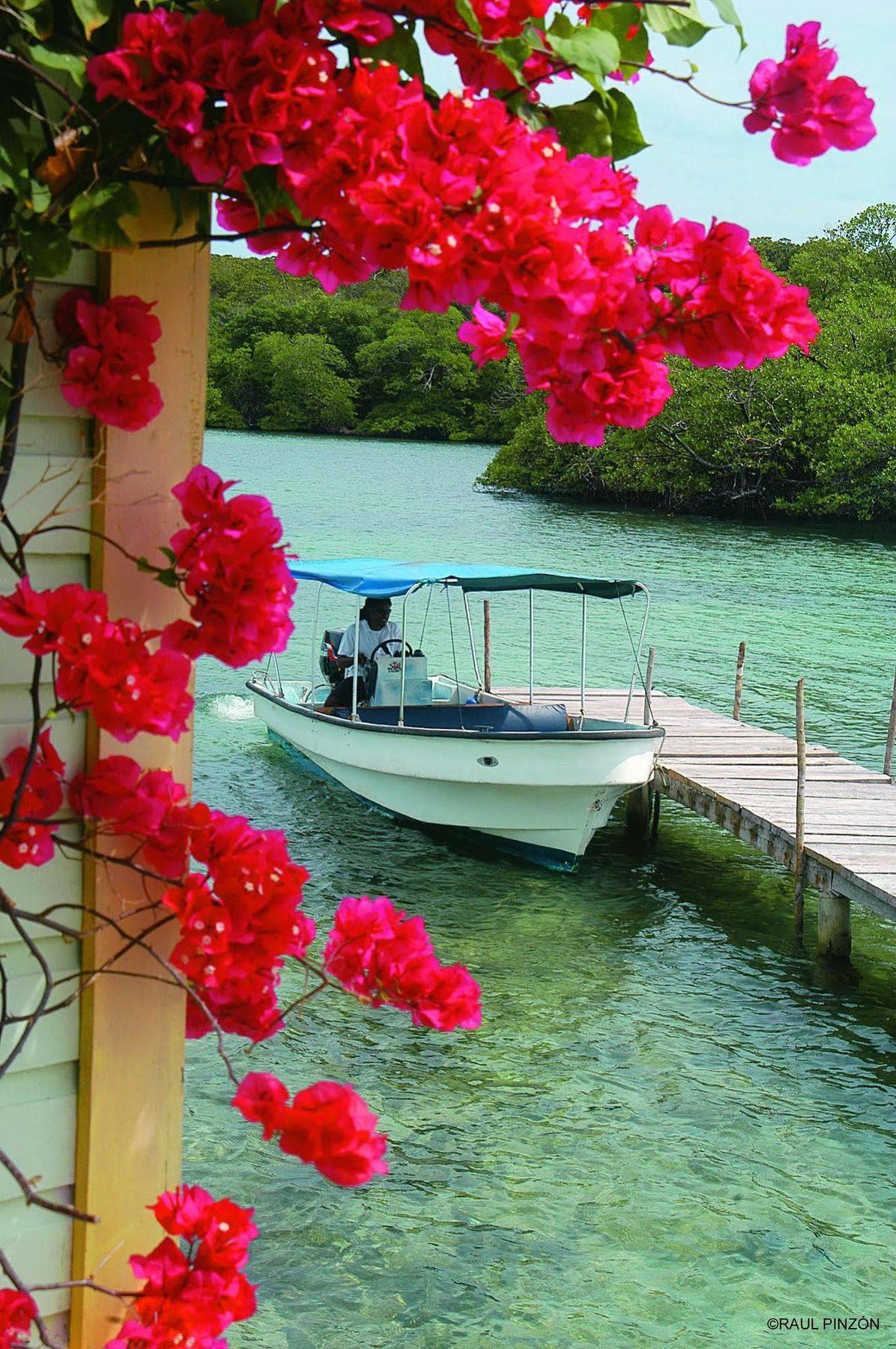 Punta Caracol Acqua Lodge Bocas Town Exterior photo
